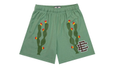 EE Basic Shorts "Cactus Jade Sheen / Brown" EE197