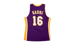 NBA Pau Gasol Dark Jersey "2009 Los Angeles Lakers - Purple" JY8637 LALPURP