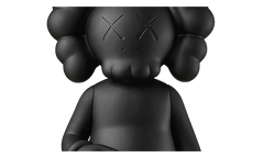 Share Vinyl Figure "Black" KAWS202473