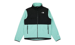 Denali Jacket "Wasabi" NF0A7UR26R7