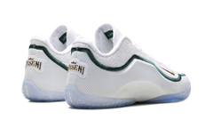 Lebron 23 "From This Point Forward" HJ5629 101