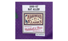 NBA Ray Allen Reload Swingman Jersey "1996 Milwaukee Bucks - Purple" SMJYCP19294 MBUPURP96RAL
